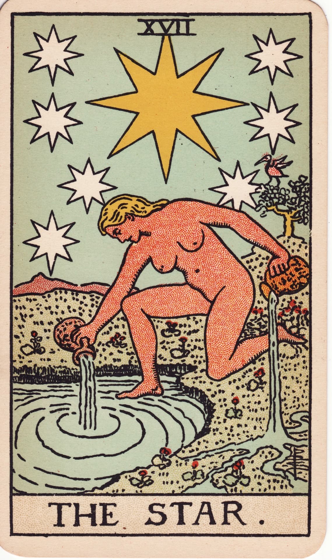 The Star